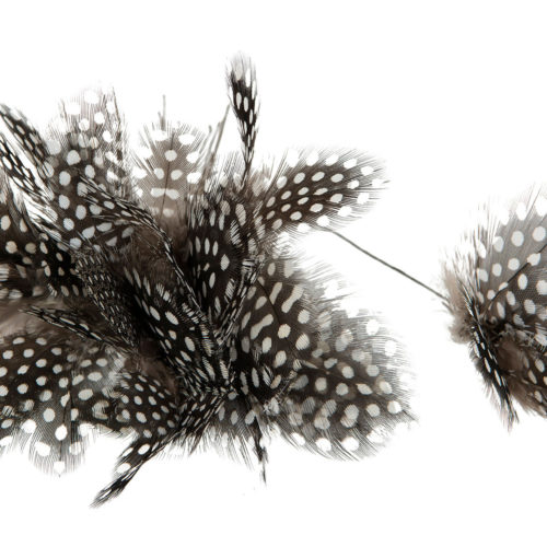 Fjäder Trådad Blom Pärlhöns 12st