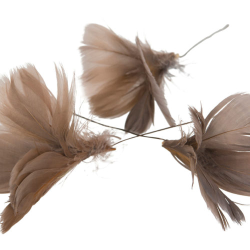 Fjädrar Mullvad 12-Pack