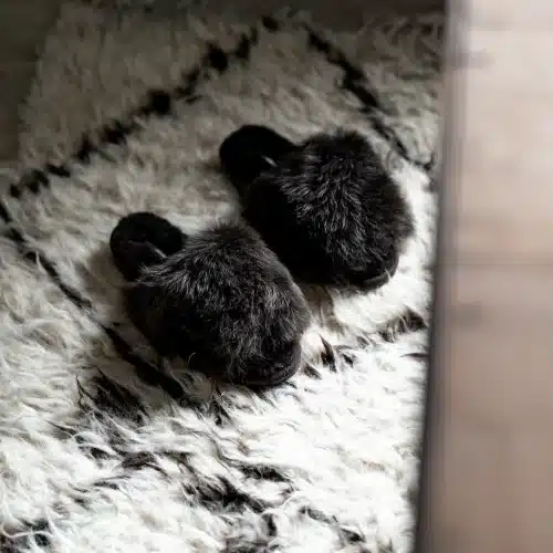 Shepherd Fårskinnstoffel Tessan Svart