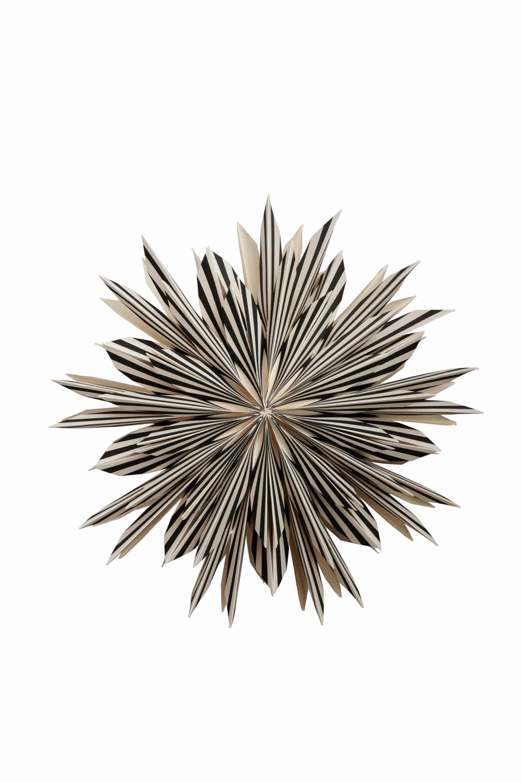 Watt & Veke Adventstjärna Leah 50 Svart - Bild 2