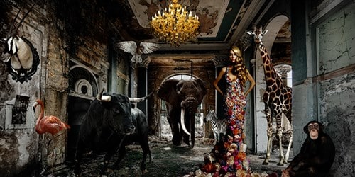 Cobra art Tavla Plexiglas - Animal afternoon