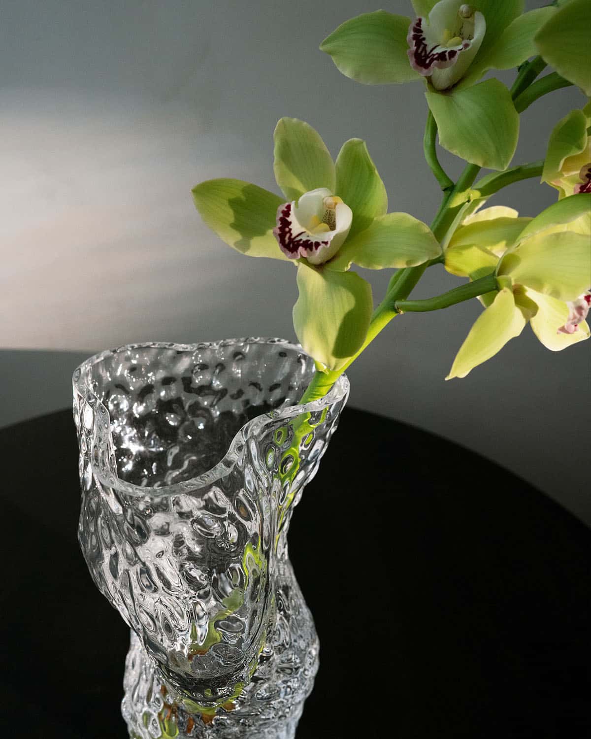 Hein Studio Ostrea Vas Klar - Bild 5