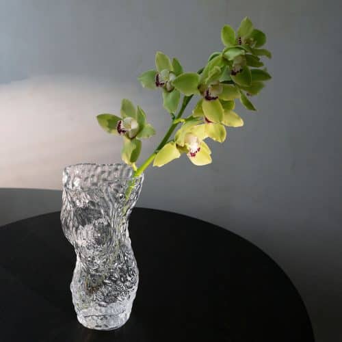 Hein Studio Ostrea Vas Klar