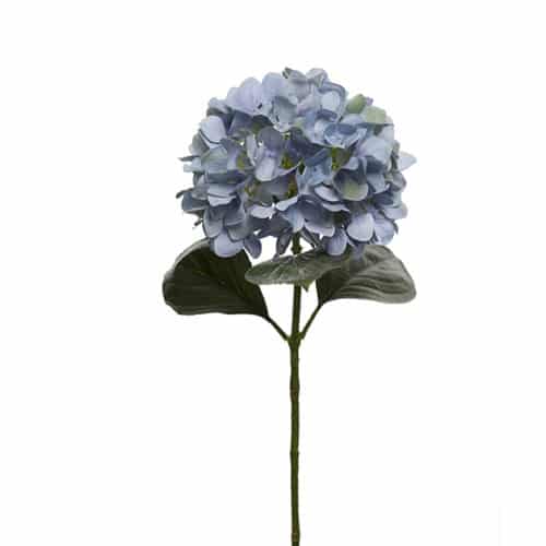 Hortensia 65 cm blå
