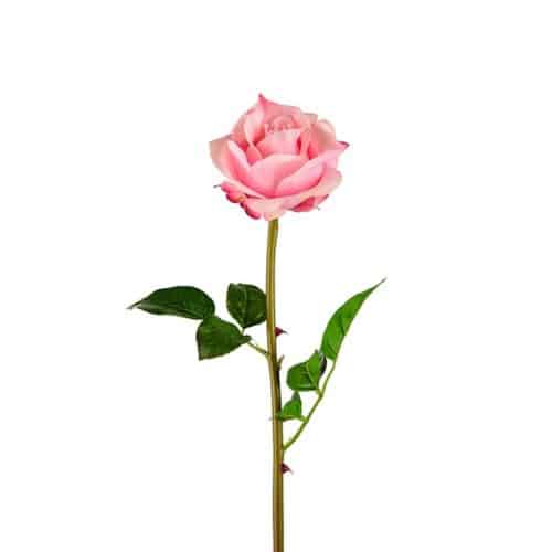 Ros 65 cm rosa