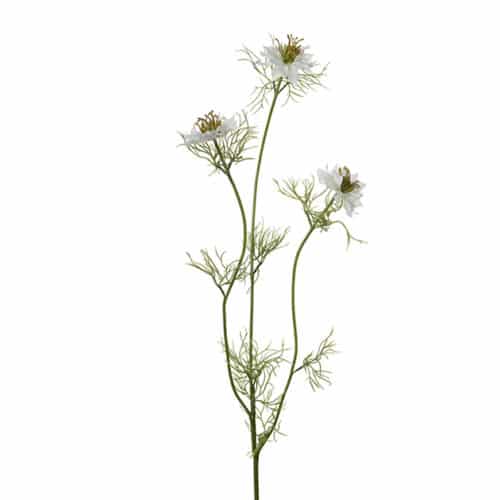 Nigella 60 cm vit