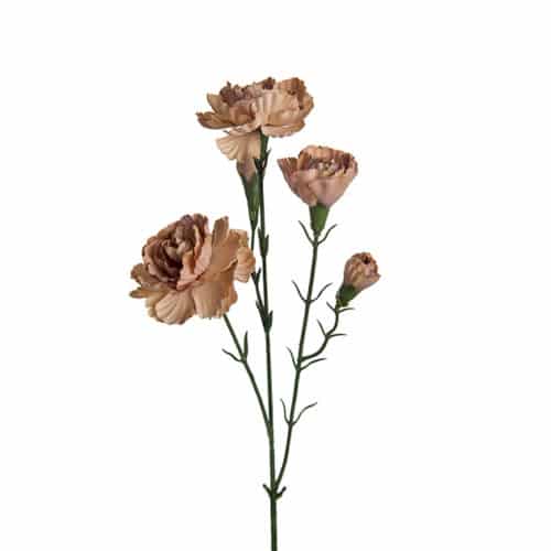 Elegance Nejlika 65 cm Beige