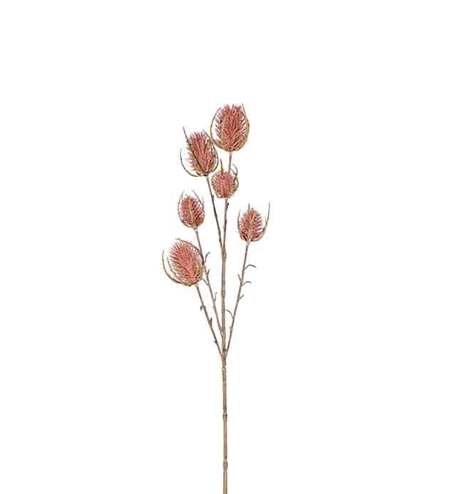 Tistel rosa 65cm