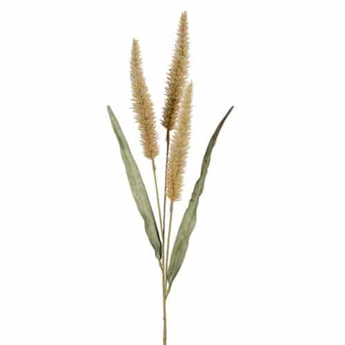 Fjäderborstgräs 90 cm grön