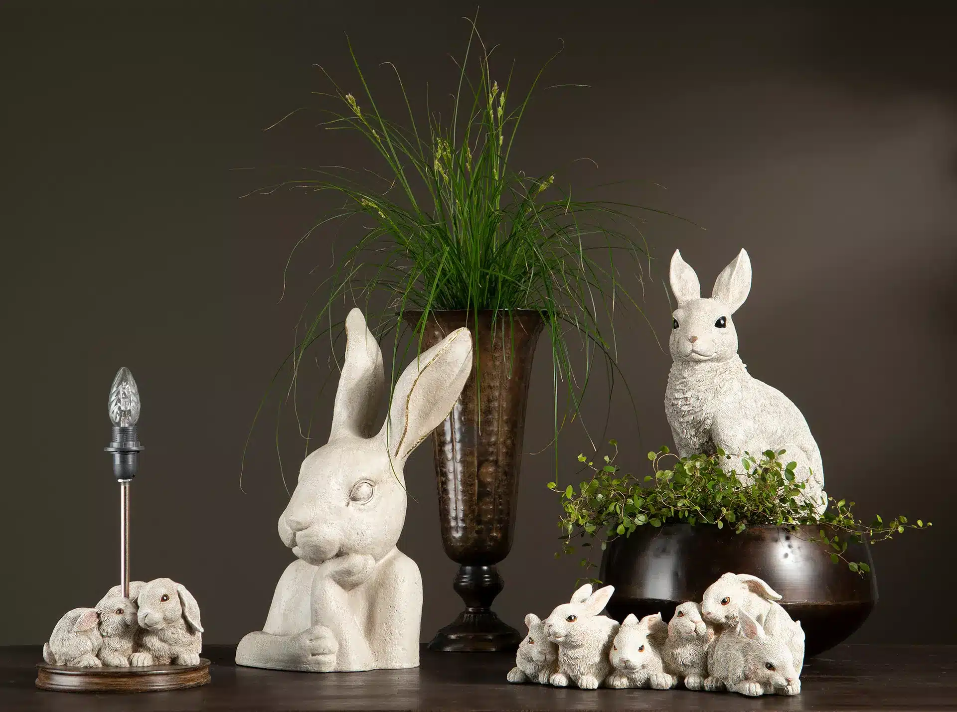 Kanin Byst Vit - Bild 3