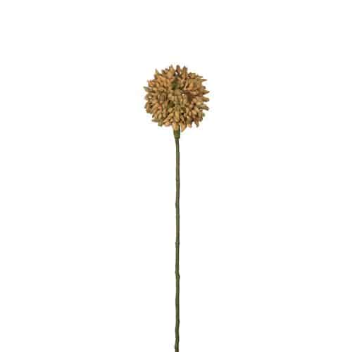 Allium 45 cm gul