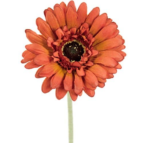 Gerbera 55 cm brun