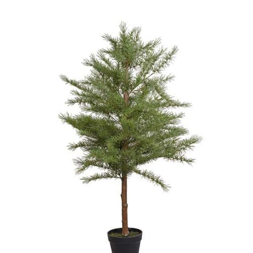 Lärkträd 120cm grön
