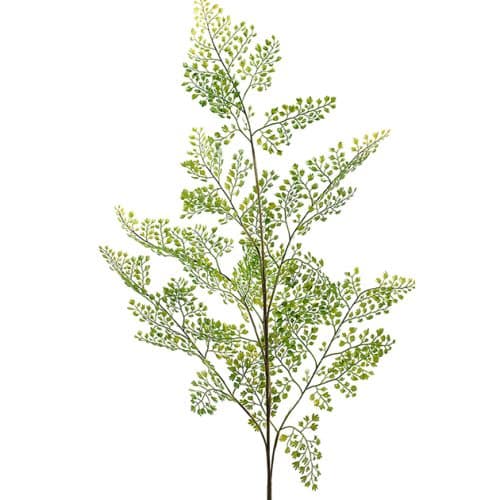 Mr Plant Adiantum blad 140 cm grön