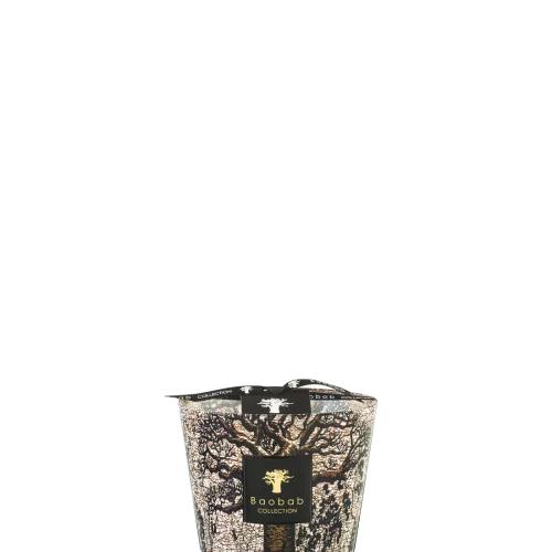 Baobab Doftljus - Sacred Trees Morondo Max 10