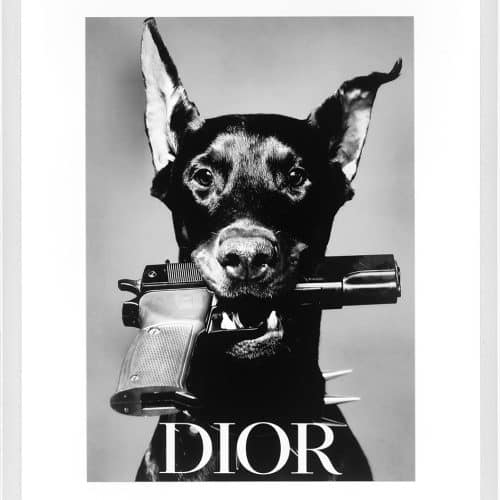 Tavla Dior Hund 75 X 95cm