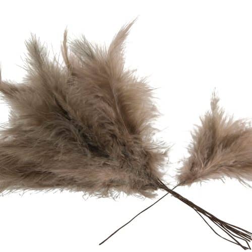 Fjäder Trådad Vippa Mullvad 12st
