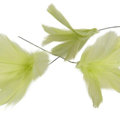 Fjäder Trådad Blom Lime 12st