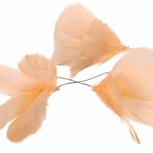 Fjäder Trådad Blom Ljus Aprikos 12st