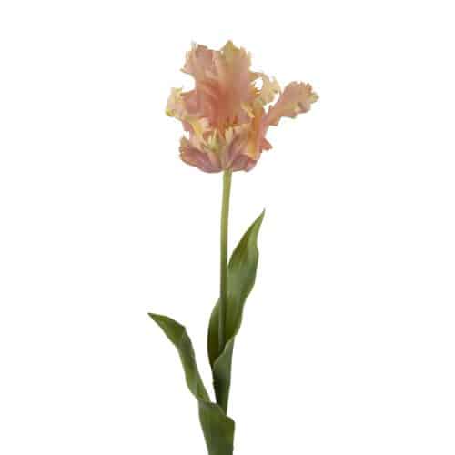 Tulpan Rosa 70cm
