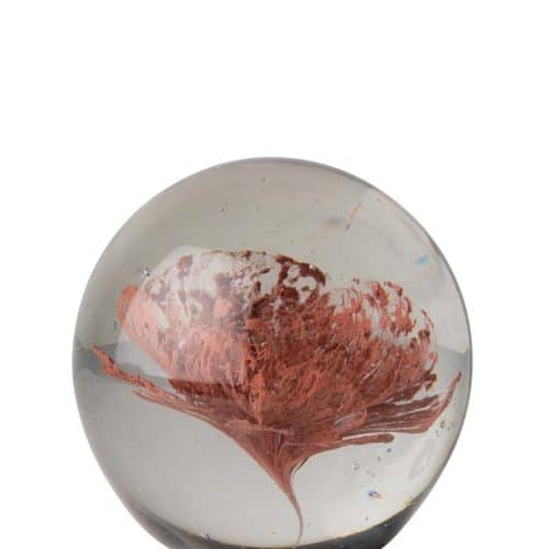 Pappersvikt Blomma Glas