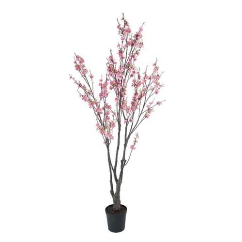 Körsbärsblom 180 cm