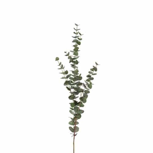 Eucalyptus 120 cm Grön