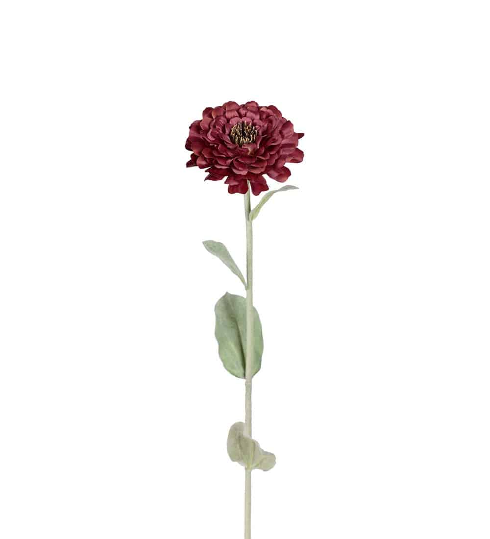Zinnia Vinröd 58cm