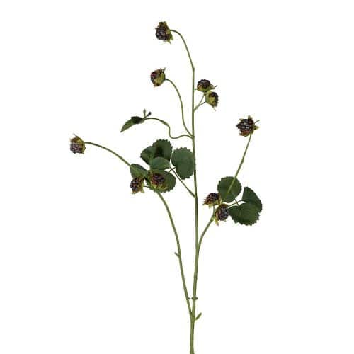 Björnbärskvist Svart 95cm