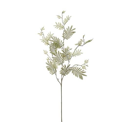 Mimosakvist Grön 110cm