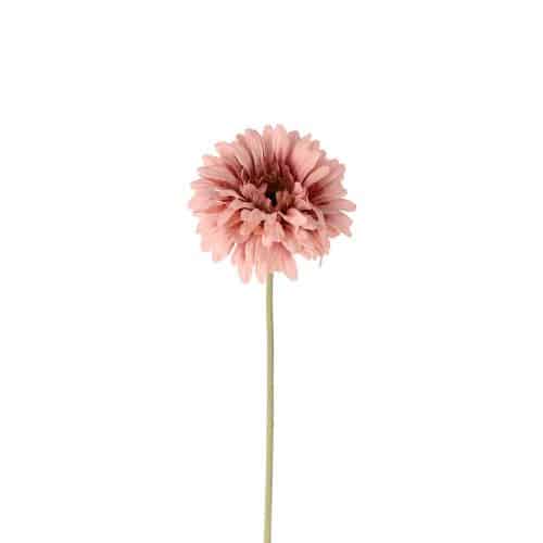 Gerbera Rosa 55cm