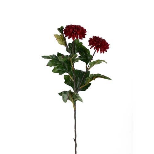 Chrysanthemum Burgundy 53cm
