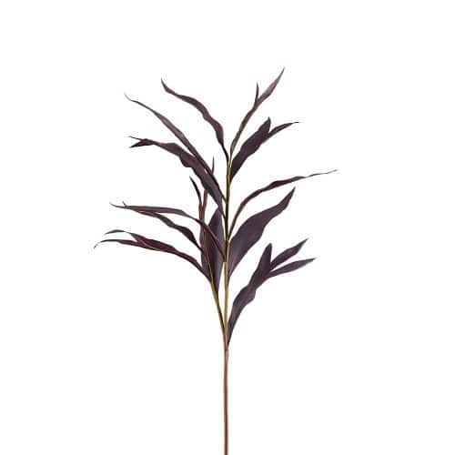 Grevilleakvist Burgundy 85cm