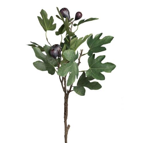 Fikonkvist Grön 90cm