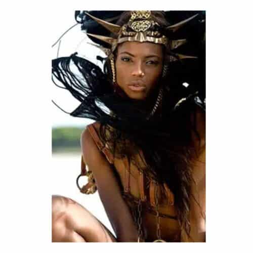 Cobra Art Tavla Crowned Lioness Plexiglas 80x120cm