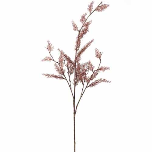 Eucalyptus Brun 95cm