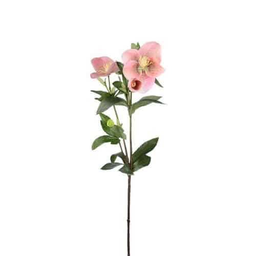Julros Rosa 63cm