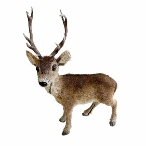 Shishi Ren brun h 46cm