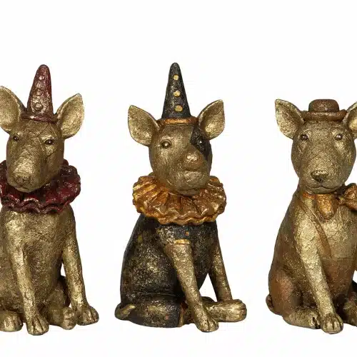 Hund Cirkus Poly Mix 1st