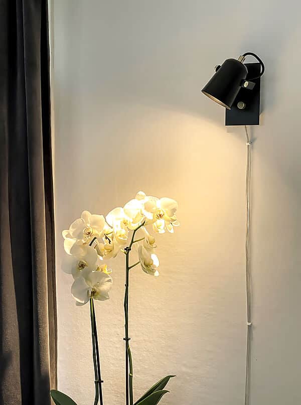 Aneta METZ vägglampa, svart/matt mässing - Bild 2