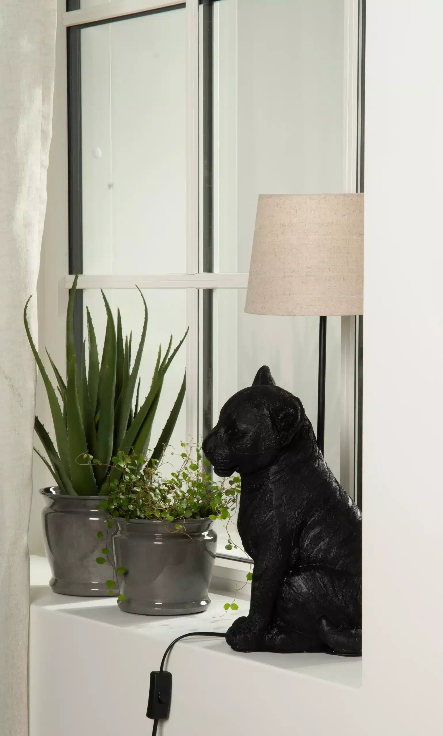 Lampfot Lejonunge - Bild 2