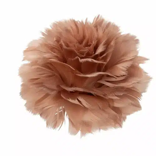 Fjäderblomma Med Clip Mullvad