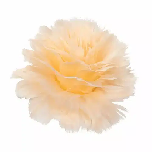 Fjäderblomma Med Clip Aprikos