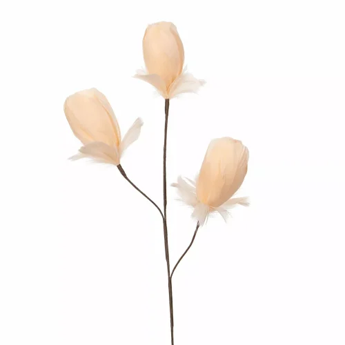 Kvist Fjäderknopp Aprikos