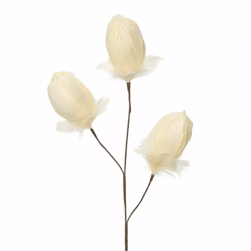 Kvist Fjäderknopp Vanilj