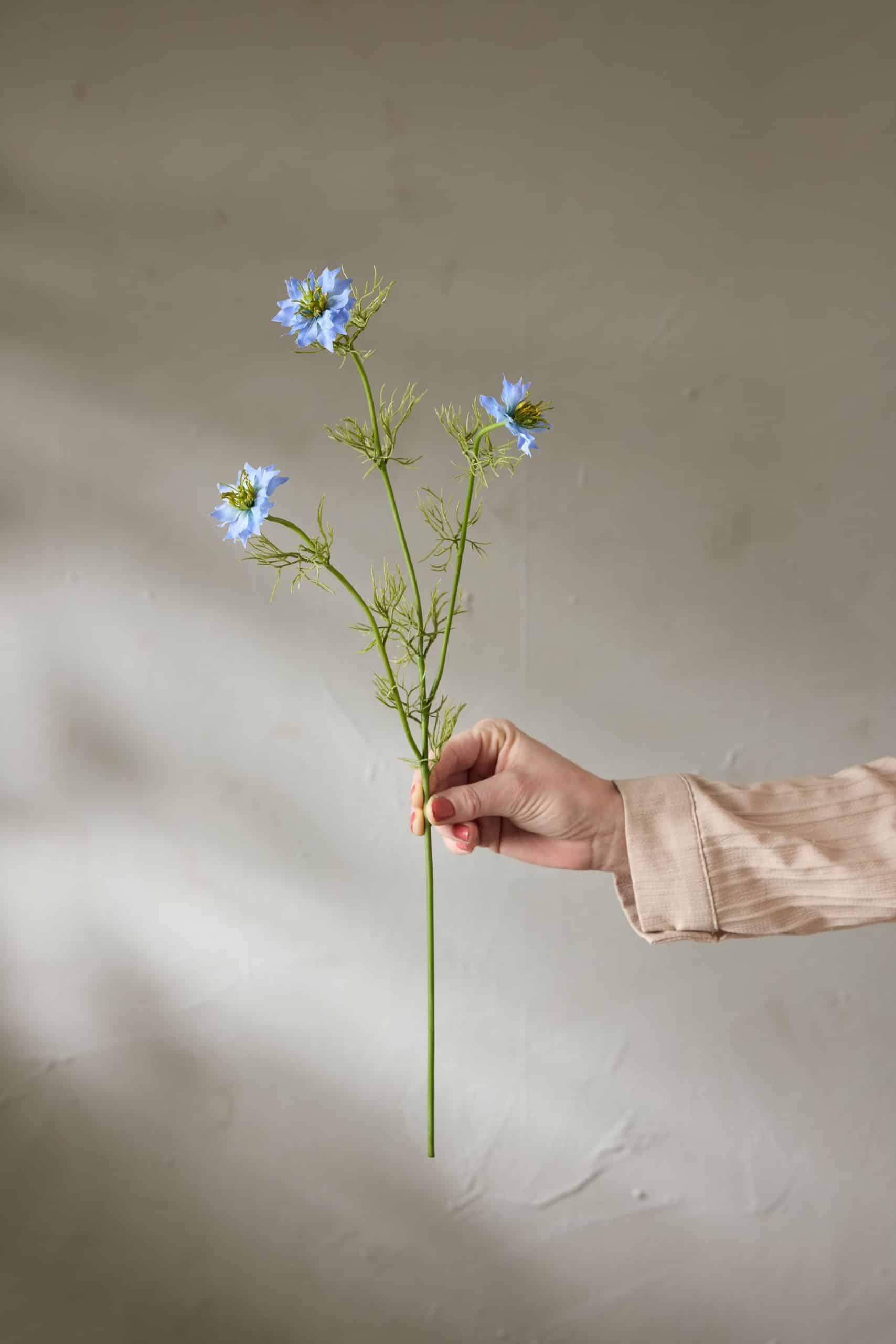 Nigella Blå 60cm - Bild 2