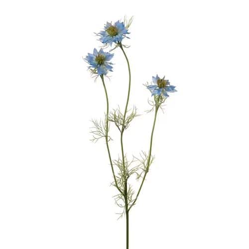Nigella Blå 60cm