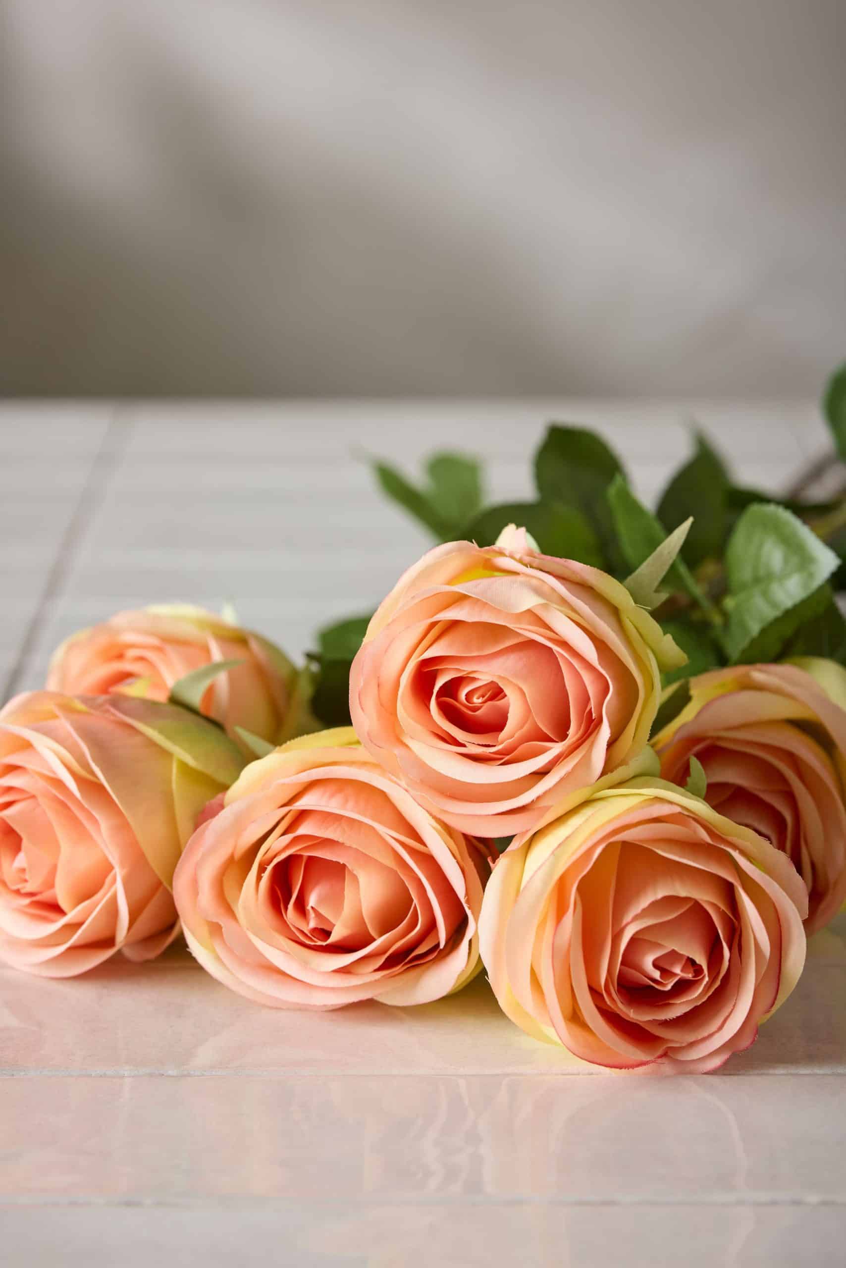 Ros Rosa 75cm - Bild 3