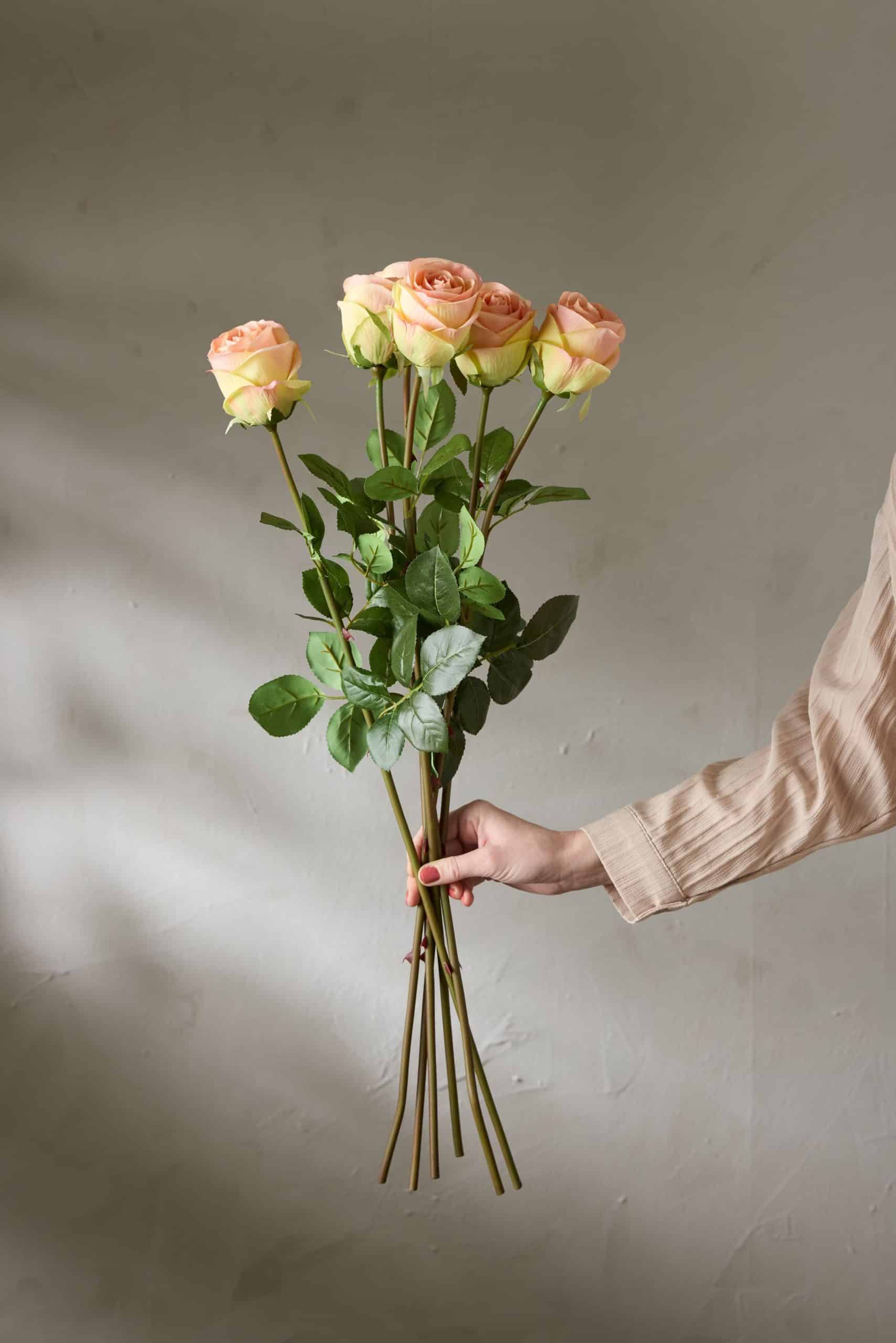 Ros Rosa 75cm - Bild 4