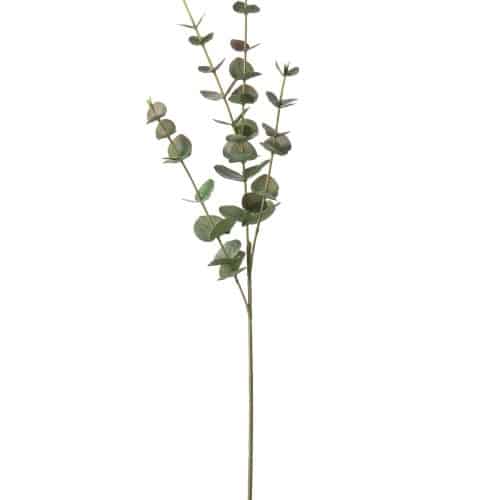 Eucalyptus Grå 60cm